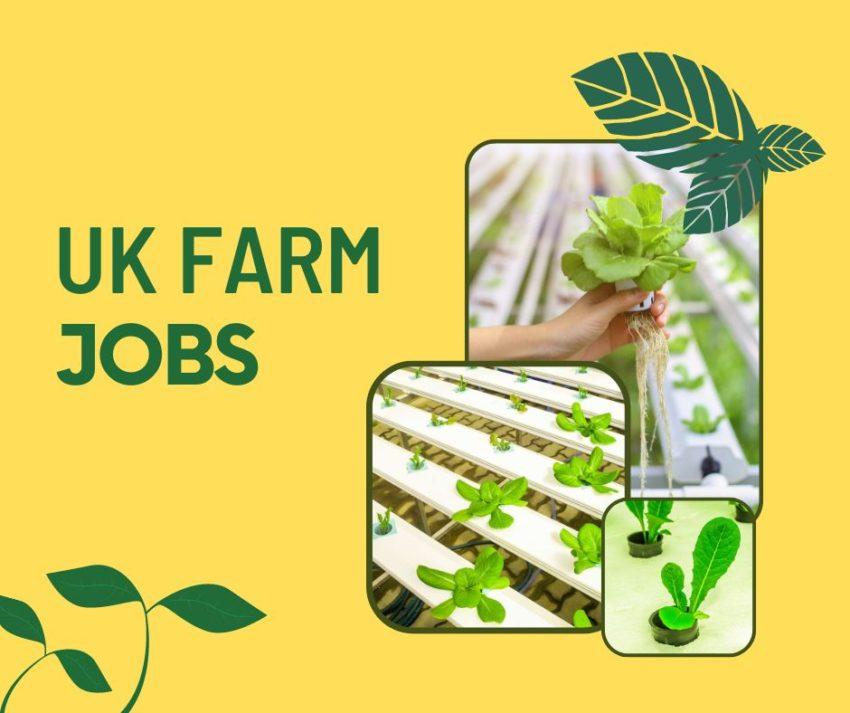 UK Visa Sponsorship Farm Work Jobs Jobs and Work Abroad
